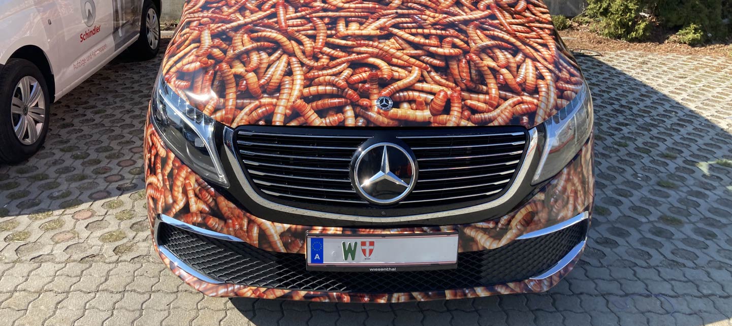 business_fol_galery7